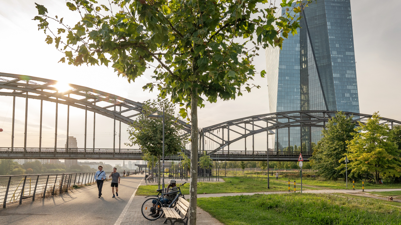 Unable to load image