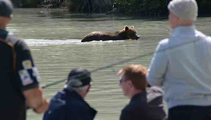 Unable to load image